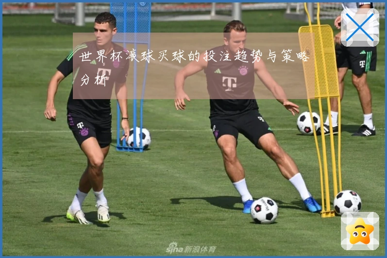 世界杯滚球买球的投注趋势与策略分析