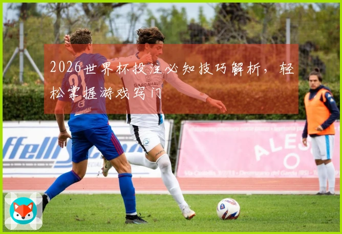 2026世界杯投注必知技巧解析，轻松掌握游戏窍门
